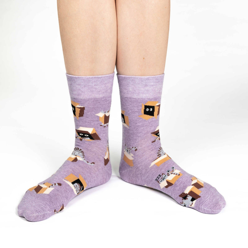 Cat in a Box Socks