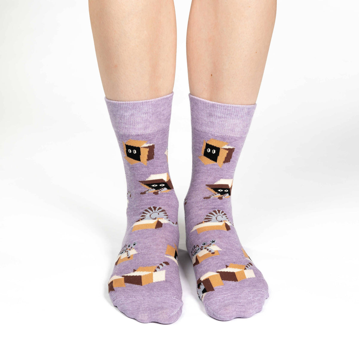 Cat in a Box Socks