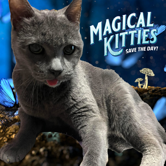 Magical Kitties Save the Day ✨
