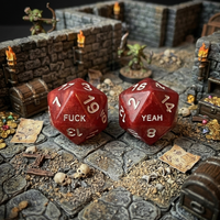 Fuck/Yeah D20 Resin Dice Set